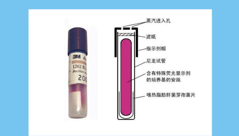 1262指示劑.jpg 1262指示劑.jpg