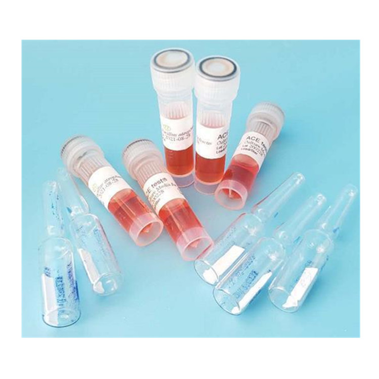 H6302K.jpg H6302K.jpg