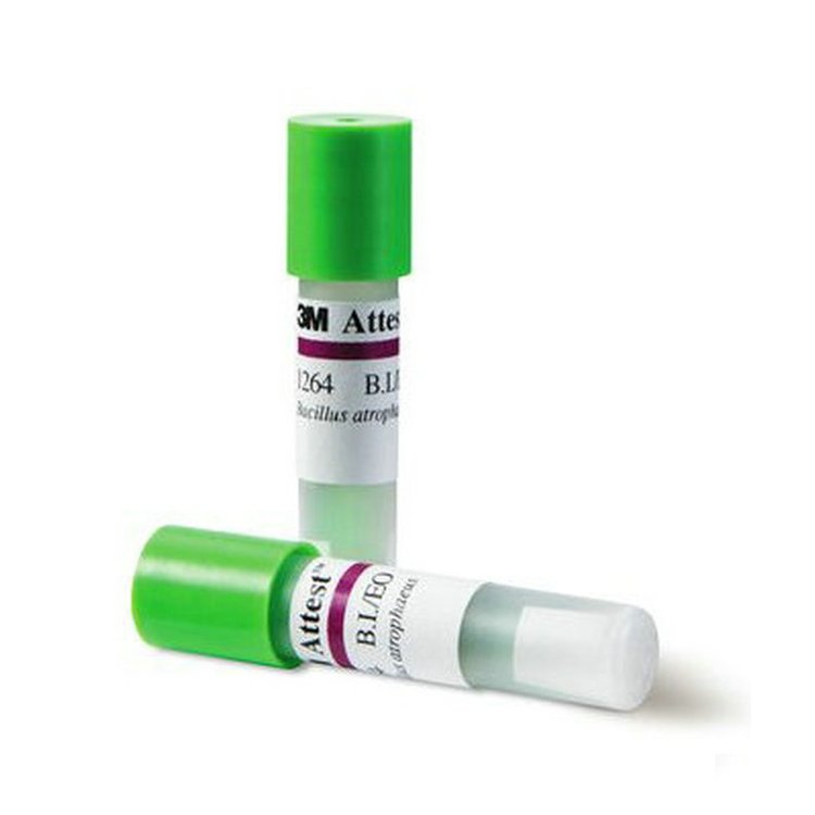 3M1264.jpg 3M1264.jpg