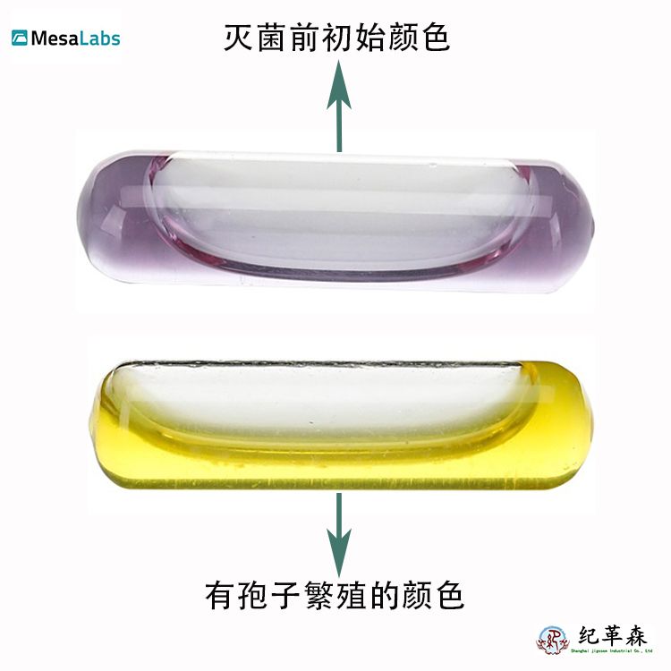 SterilAmp.jpg SterilAmp.jpg